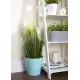 Wham Studio Round 26cm Planter Cover OR Waste Bin, Blue, 27455 Shop quality Wham Studio Round 26cm Planter Cover OR Waste Bin, Blue in Kenya from vituzote.com Shop in-store or online and get countrywide delivery!