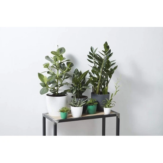 Elho Brussels Round Indoor Flowerpot - White, 14cm, 8711904071066 Shop quality Elho Brussels Round Indoor Flowerpot - White, 14cm in Kenya from vituzote.com Shop in-store or online and get countrywide delivery!