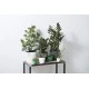 Elho Brussels Round Indoor Flowerpot - White, 14cm, 8711904071066 Shop quality Elho Brussels Round Indoor Flowerpot - White, 14cm in Kenya from vituzote.com Shop in-store or online and get countrywide delivery!