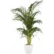 Elho Brussels Round Indoor Flowerpot - White, 14cm, 8711904071066 Shop quality Elho Brussels Round Indoor Flowerpot - White, 14cm in Kenya from vituzote.com Shop in-store or online and get countrywide delivery!
