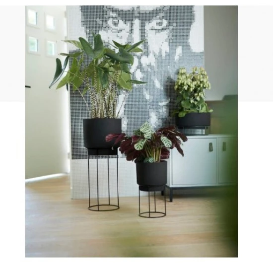 Elho Studio Bowl 30cm Indoor Plastic Pot - Living Black Colour, 8711904352257 Shop quality Elho Studio Bowl 30cm Indoor Plastic Pot - Living Black Colour in Kenya from vituzote.com Shop in-store or online and get countrywide delivery!
