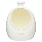 Classic Collection Ceramic Salt Pig, 10.5 x 10 x 15 cm (4" x 4" x 6")