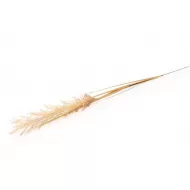 Candlelight Natural Single Wild Grass Stem, 118cm Height