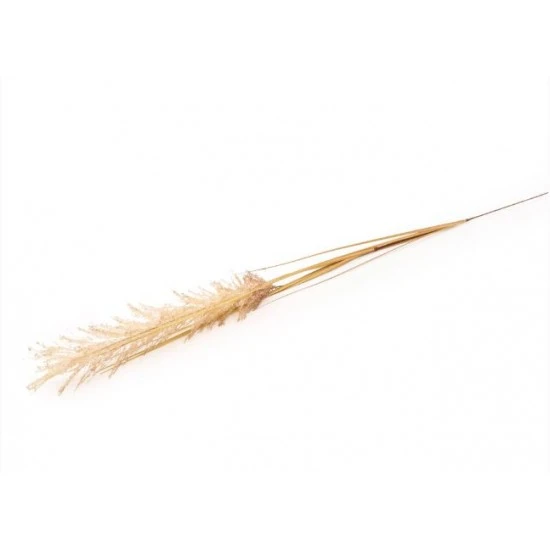 Candlelight Natural Single Wild Grass Stem, 118cm Height, 674619 Shop quality Candlelight Natural Single Wild Grass Stem, 118cm Height in Kenya from vituzote.com Shop in-store or online and get countrywide delivery!