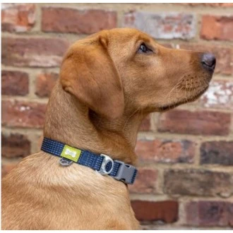 BUILT PET NightSafe Reflective Collar, Medium, Blue - 35cm to 51cm