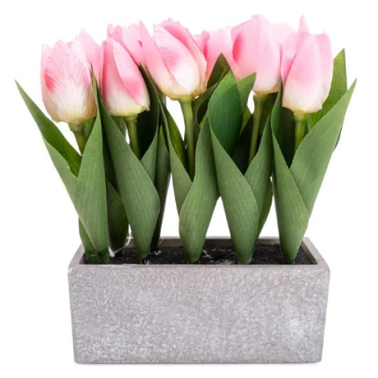 Shop quality Candlelight Pink Tulips in Grey Cement Pot, 10 pieces in Kenya from vituzote.com Shop in-store or online and get countrywide delivery!