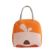 VZ  Lunch Box Insulated Lunch Box Bag - Orange