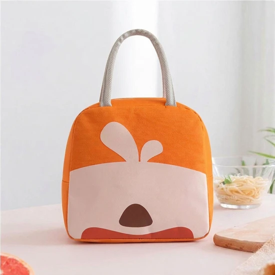 VZ  Lunch Box Insulated Lunch Box Bag - Orange