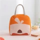 VZ  Lunch Box Insulated Lunch Box Bag - Orange