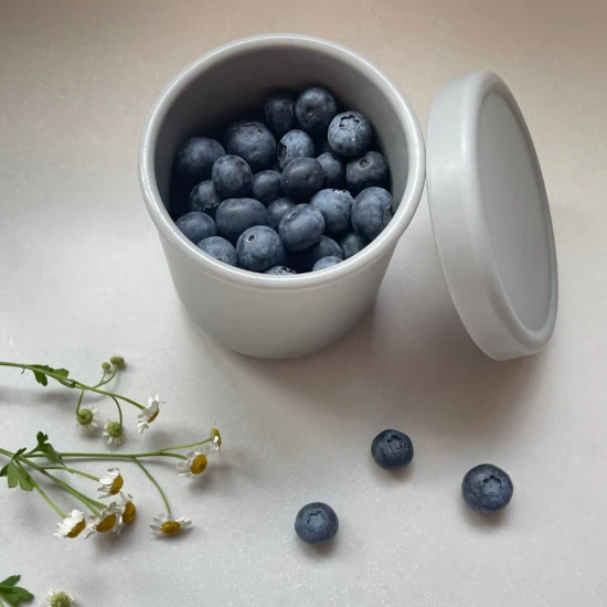 VZ-250ml Small Round Silicone Microwave Bowl – Food-Grade Leakproof Lunch Container for Office, School & Picnic (Grey)