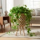 Candlelight 42Cm Bamboo/Wood Plant Stand -Small