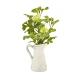 Candlelight Ceramic Jug With Vibernam Stems, Green