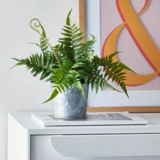 Dunelm Artificial Fern in Iron Plant Pot, 10cm pot.