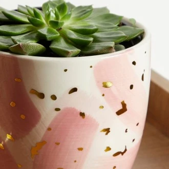 Dunelm Ceramic Abstract Plant Pot, Pink 14cm( Pot Only)