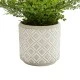Dunelm Boston Fern in Ceramic Pot, 45 cm, 667567 Shop quality Dunelm Boston Fern in Ceramic Pot, 45 cm in Kenya from vituzote.com Shop in-store or online and get countrywide delivery!