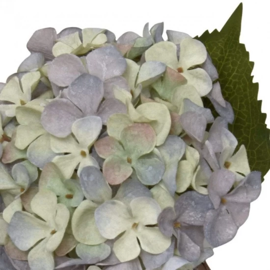 Candlelight Single Hydrangea Two Tone Green and Blue Faux Stem, 46cm, 672752 Shop quality Candlelight Single Hydrangea Two Tone Green and Blue Faux Stem, 46cm in Kenya from vituzote.com Shop in-store or online and get countrywide delivery!