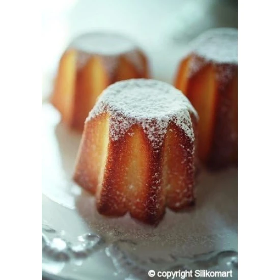 Silikomart Mini Pandoro Silicone Mould