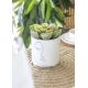 KitchenCraft Mini Ceramic Planter with Abstract Face Design, KCAFPLANTER Shop quality KitchenCraft Mini Ceramic Planter with Abstract Face Design in Kenya from vituzote.com Shop in-store or online and get countrywide delivery!