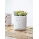 KitchenCraft Mini Ceramic Planter with Abstract Face Design, KCAFPLANTER Shop quality KitchenCraft Mini Ceramic Planter with Abstract Face Design in Kenya from vituzote.com Shop in-store or online and get countrywide delivery!