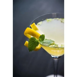 Vicrila  FT Martini Glass 210ml/7.4oz