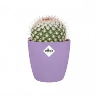 Elho Brussels Round Mini New Violet, 7cm