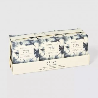 Candlelight Hikari Hanga Plum Set of 3 Frosted Glass Filled Wax Candles