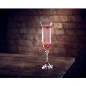 Crystal Bohemia Branta Champagne Flute 170ml / 17.5cl/6.2oz