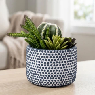 Dunlem Cactus & Succulent Arrangement in a Cement pot, 19cm 