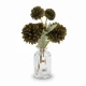  Dunlem Kiku Stemu Green in Clear Vase 