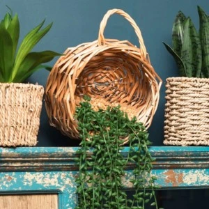 Artificial Flowers & Plants