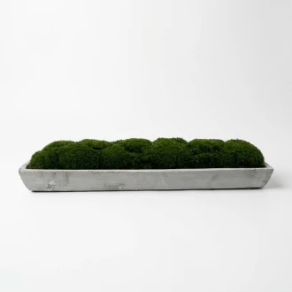 Dunelm Faux moss in a tray - (42cm Length x 14cm Width)