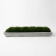 Dunelm Faux moss in a tray - (42cm Length x 14cm Width)