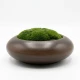 Dunelm Faux Moss in a Bowl- 34cm Diameter