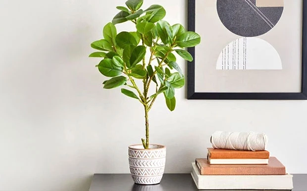 Shop Vases,Pots & Planters for Sale in Kenya at Vituzote.com