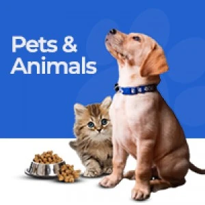 Pets and Animals