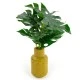 Candlelight High Cheese Plant In Ceramic Zig Zag Vase Ochre, 30cm, 635702 Shop quality Candlelight High Cheese Plant In Ceramic Zig Zag Vase Ochre, 30cm in Kenya from vituzote.com Shop in-store or online and get countrywide delivery!