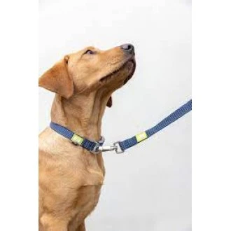 BUILT PET NightSafe Reflective Lead, Medium, Blue -  30cm (1ft )