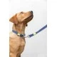 BUILT PET NightSafe Reflective Lead, Medium, Blue - 30cm (1ft ), BLTPLEADMEDBLU Shop quality BUILT PET NightSafe Reflective Lead, Medium, Blue - 30cm (1ft ) in Kenya from vituzote.com Shop in-store or online and get countrywide delivery!