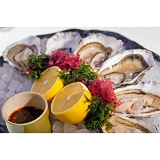 Master Class Deluxe Stainless Steel Oyster Knife