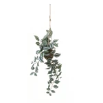 Candleight inch plant or wandering dude- Tradescantia Zebrina