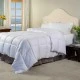 Superior All Season Down Alternative Comforter with 1 cm Stripes, Full/Queen White, 855031061779 Shop quality Superior All Season Down Alternative Comforter with 1 cm Stripes, Full/Queen White in Kenya from vituzote.com Shop in-store or online and get countrywide delivery!