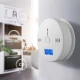 VZ Carbon Monoxide Detector with LCD Display – Battery Powered