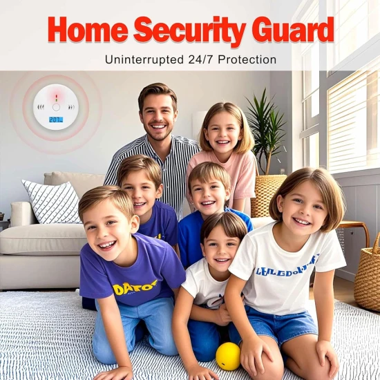 VZ Carbon Monoxide Detector with LCD Display – Battery Powered