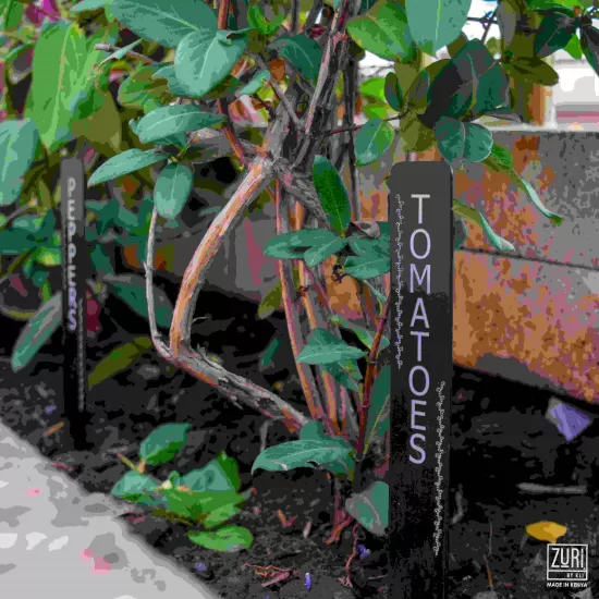 Zuri Plant Marker Stake, Made In Kenya - Matt Black ( Set of 10), GRMG2B Shop quality Zuri Plant Marker Stake, Made In Kenya - Matt Black ( Set of 10) in Kenya from vituzote.com Shop in-store or online and get countrywide delivery!