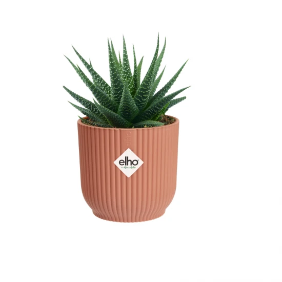 Elho Vibes Fold Round Mini Delicate Pink, 7cm, 8711904493684 Shop quality Elho Vibes Fold Round Mini Delicate Pink, 7cm in Kenya from vituzote.com Shop in-store or online and get countrywide delivery!