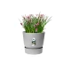 Elho Greenville Round Pot & Base Living Concrete- 20cm, 8711904356934 Shop quality Elho Greenville Round Pot & Base Living Concrete- 20cm in Kenya from vituzote.com Shop in-store or online and get countrywide delivery!