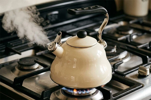 La Cafetiere stovetop whistling and gooseneck kettles available in Kenya at Vituzote